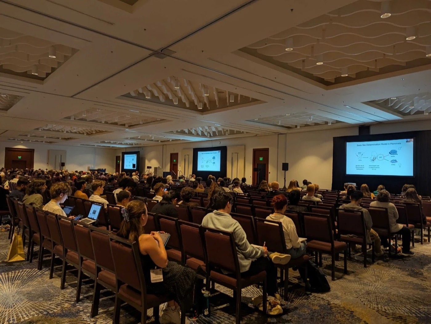 General session